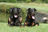 BEAUCERON 061